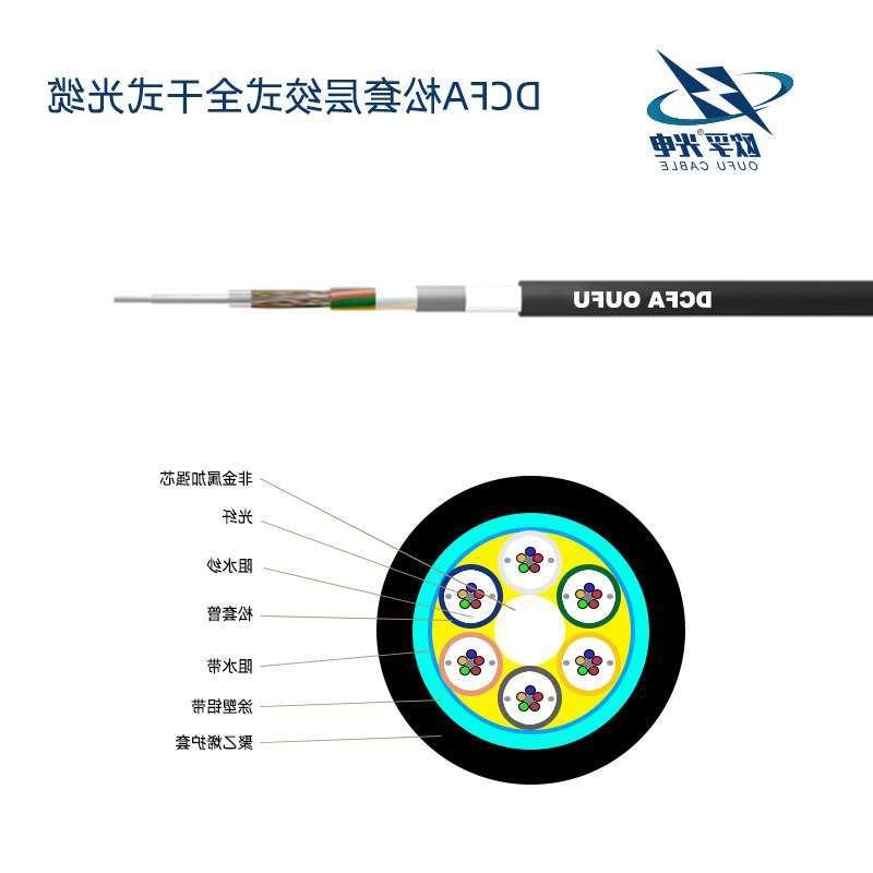 六盘水市DCFA光缆