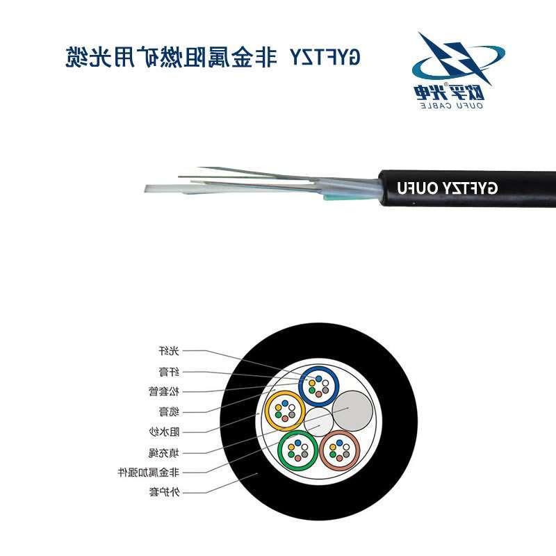 克拉玛依市GYFTZY光缆