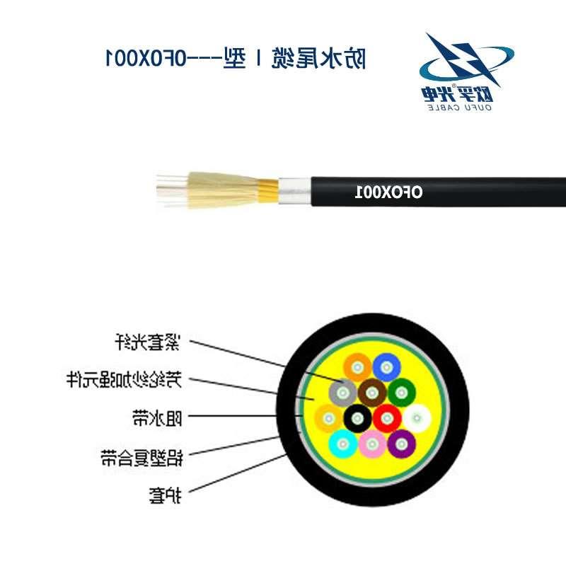 克拉玛依市防水尾缆Ⅰ型